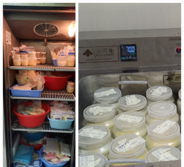 HUMNSA establece récord de recolección de leche materna con más de 50 mil CC