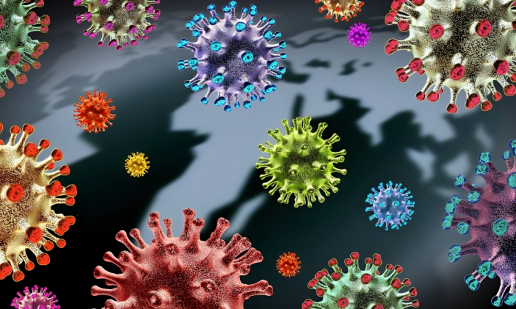 Virus respiratorios, muertes maternas y enfermedades endémicas bajo vigilancia en nuevo boletín epidemiológico