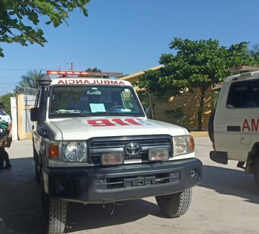 Intoxicaciones por pesticidas en escuelas de Villa Riva alertan sobre urgencia de regular fumigaciones agrícolas