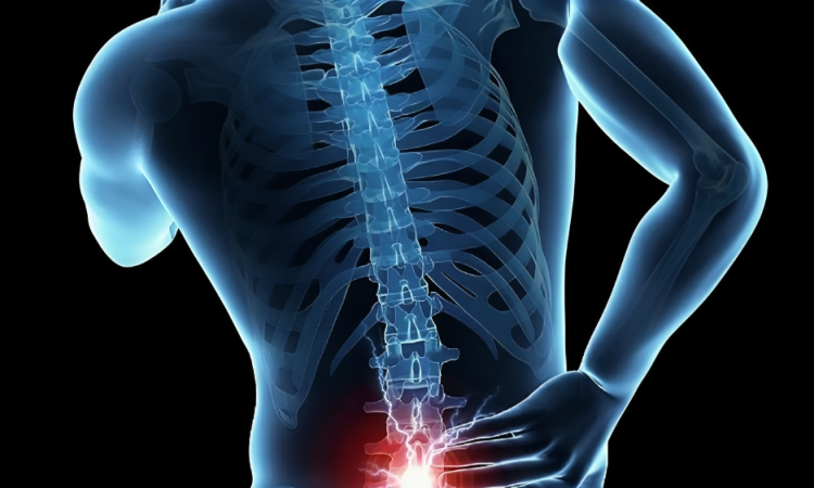 Colaboración internacional liderada por la UPF crea herramientas de IA para combatir el dolor lumbar