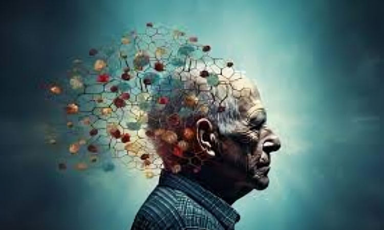 Estudio español descubre nuevo mecanismo del colesterol neuronal en enfermedad de Alzheimer