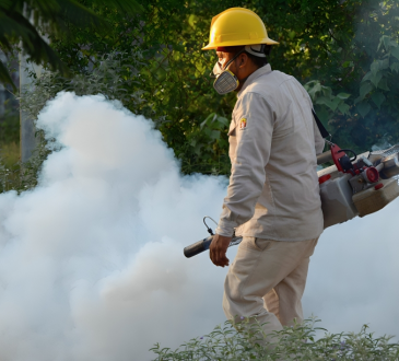 Dengue, malaria y tosferina: Ministerio de Salud reporta 171, 711 y 9 casos acumulados en 2025