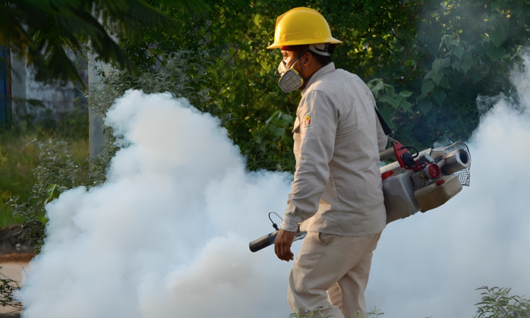 Dengue, malaria y tosferina: Ministerio de Salud reporta 171, 711 y 9 casos acumulados en 2025