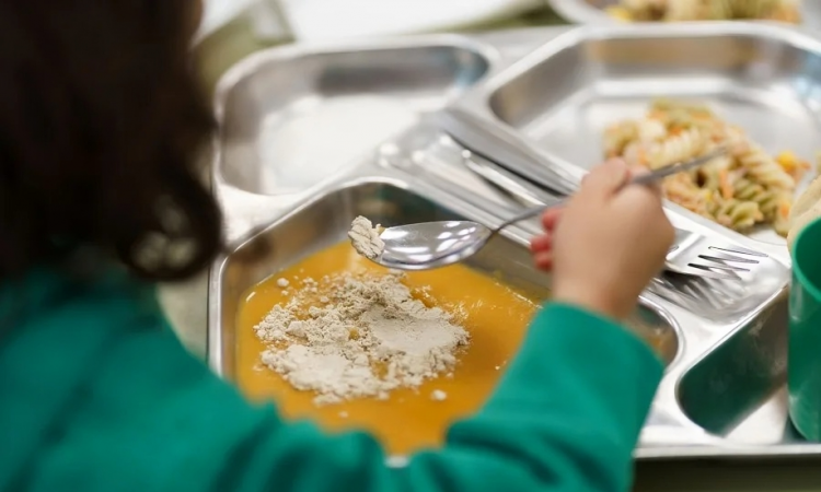 Preocupación por mercurio lleva a Francia a eliminar el atún de comedores escolares