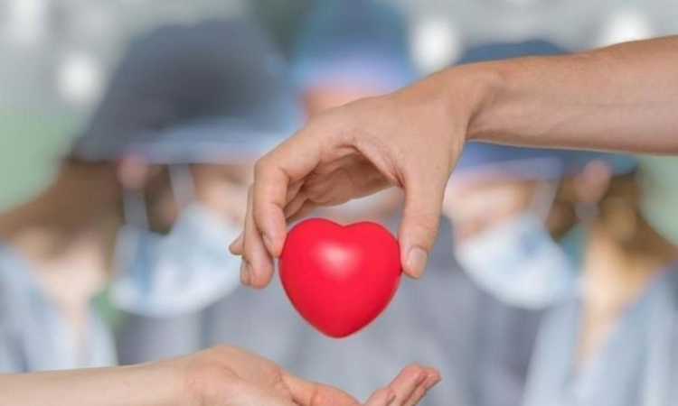 Europa celebra su primer trasplante parcial de corazón en niño con cardiopatía congénita compleja Europa celebra su primer trasplante parcial de corazón en niño con cardiopatía congénita compleja