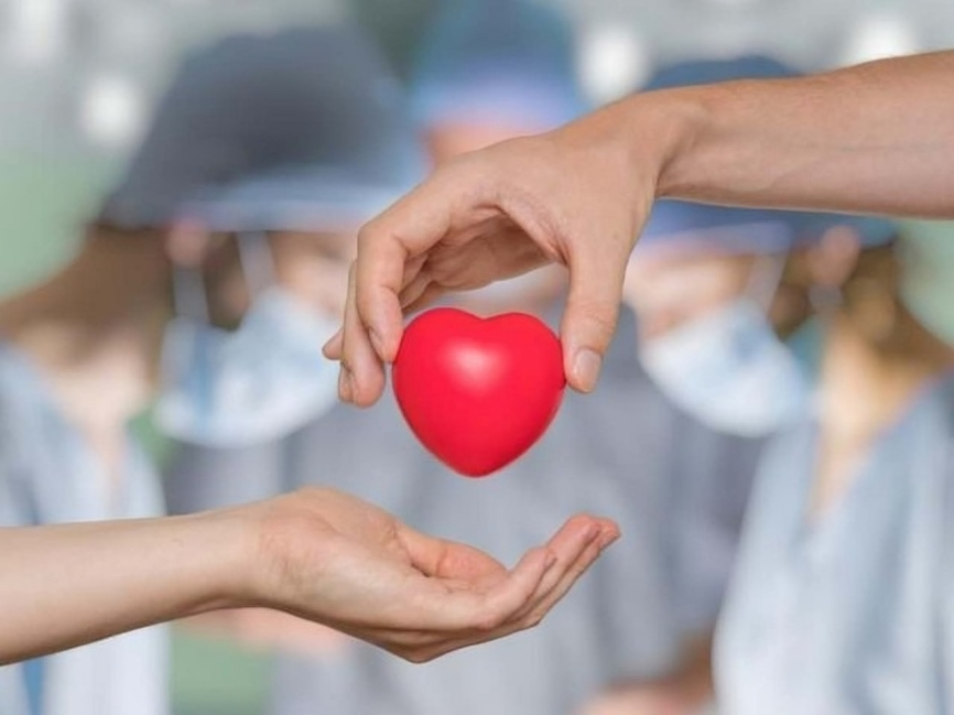 Europa celebra su primer trasplante parcial de corazón en niño con cardiopatía congénita compleja Europa celebra su primer trasplante parcial de corazón en niño con cardiopatía congénita compleja