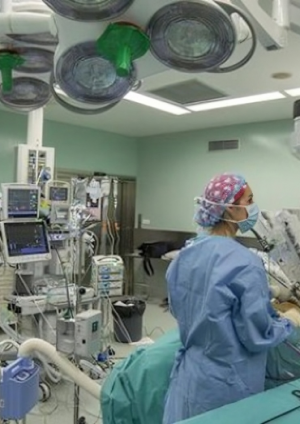 Estudio internacional confirma: "Caballos de Troya" farmacológicos superan a quimioterapia en cáncer de mama metastásico