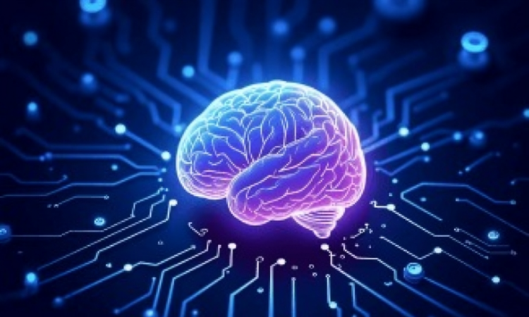 Alianza farmacéutica crea plataforma digital integral para pacientes con epilepsia Alianza farmacéutica crea plataforma digital integral para pacientes con epilepsia