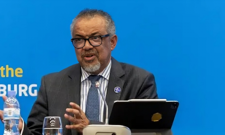 OMS reconoce fármacos GLP-1 como herramienta clave en la lucha global contra la obesidad OMS reconoce fármacos GLP-1 como herramienta clave en la lucha global contra la obesidad