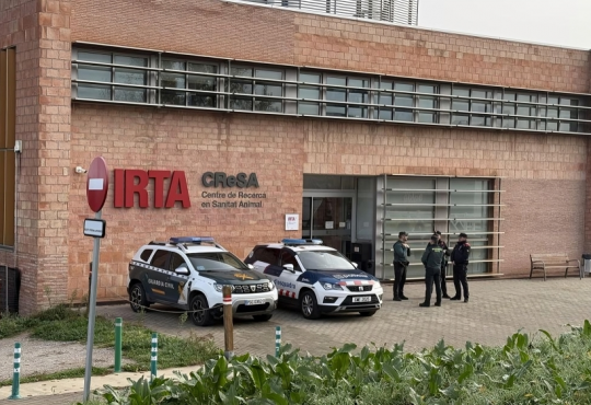 Investigación judicial en España: policías registran laboratorio vinculado a foco de peste porcina africana en jabalíes Investigación judicial en España: policías registran laboratorio vinculado a foco de peste porcina africana en jabalíes