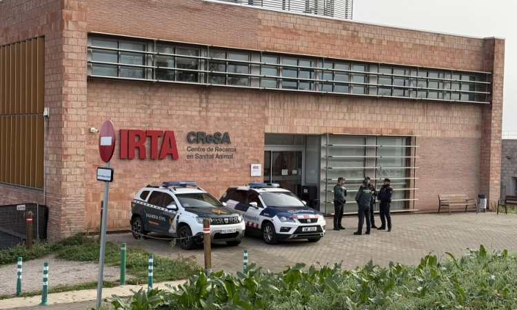 Investigación judicial en España: policías registran laboratorio vinculado a foco de peste porcina africana en jabalíes Investigación judicial en España: policías registran laboratorio vinculado a foco de peste porcina africana en jabalíes