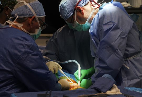 Clínica Unión Médica realiza 11 cirugías de reemplazo de rodilla en Jornada Solidaria de Alta Complejidad Clínica Unión Médica realiza 11 cirugías de reemplazo de rodilla en Jornada Solidaria de Alta Complejidad