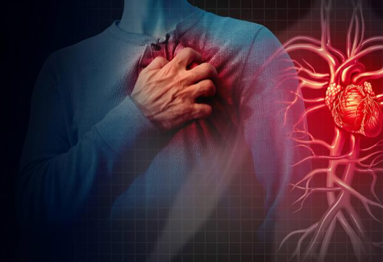 Paro cardíaco vs. ataque cardíaco: Dr. Brian Shapiro de Mayo Clinic explica las diferencias y medidas de seguridad Paro cardíaco vs. ataque cardíaco: Dr. Brian Shapiro de Mayo Clinic explica las diferencias y medidas de seguridad