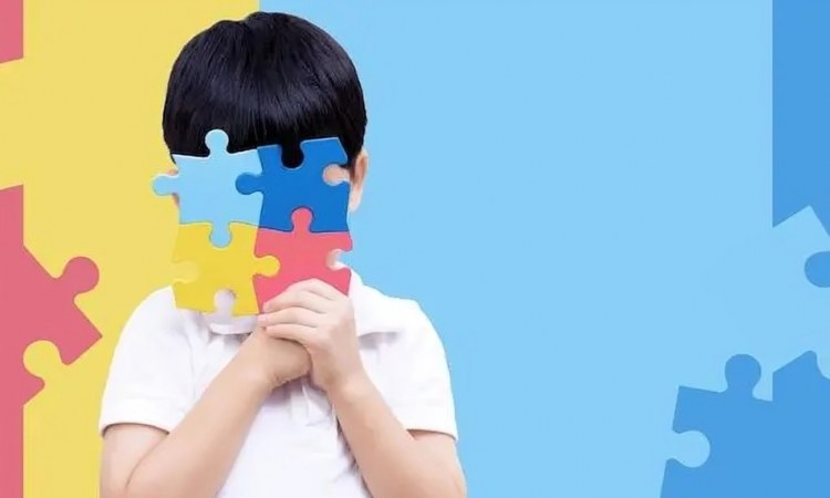 Científicos descifran el Mapa de la Convergencia Genética en el Autismo durante el desarrollo fetal