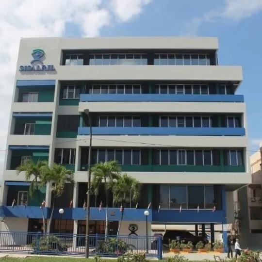 Entra en vigor nuevo límite de cobertura para accidentes de tránsito y ajuste del salario mínimo nacional en el Seguro Familiar de Salud