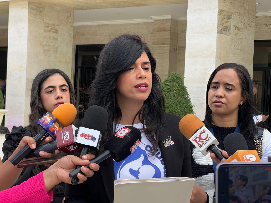 ProlactarRD deposita ante la Cámara de Diputados la “Alianza por la Corresponsabilidad Laboral” para modernizar el Código de Trabajo
