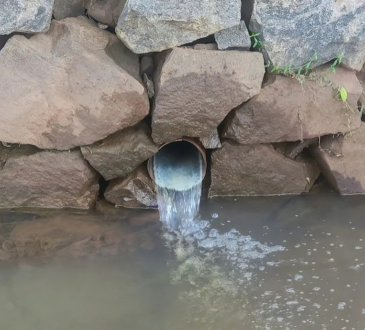 Academia China de Ciencias presenta sistema de membrana catalítica que elimina antibióticos y contaminantes emergentes