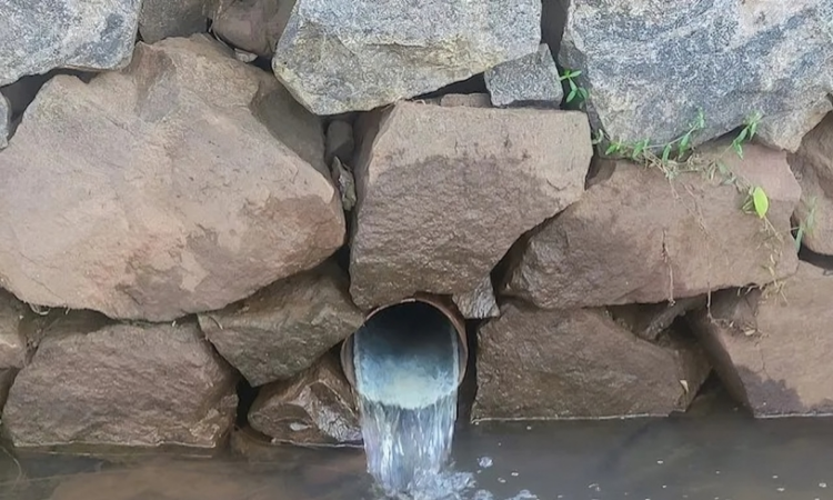 Academia China de Ciencias presenta sistema de membrana catalítica que elimina antibióticos y contaminantes emergentes