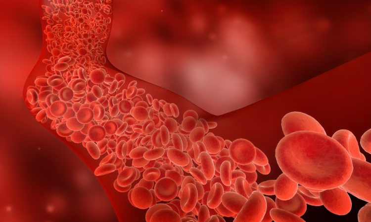 Cleveland Clinic recomienda análisis de colesterol cada cinco años a partir de los 20 años para prevenir infartos y ACV