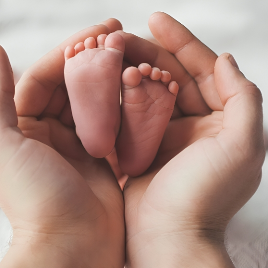 SODONE expresa preocupación por cifras de mortalidad neonatal y ofrece asesoría técnica al SNS