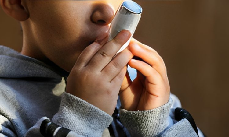 Sociedad de Neumología y Cirugía del Tórax alerta sobre falta de acceso a inhaladores para asma en Semana Mundial del Asma 2026