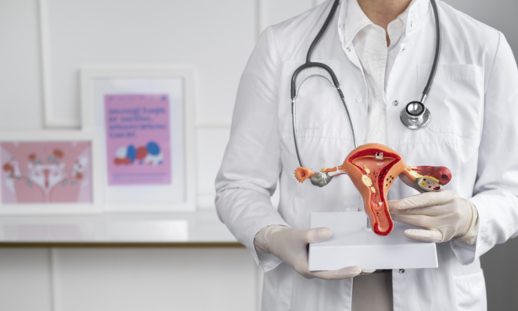 Nuevos tratamientos menos invasivos amplían las opciones para mujeres con endometriosis y miomas Nuevos tratamientos menos invasivos amplían las opciones para mujeres con endometriosis y miomas